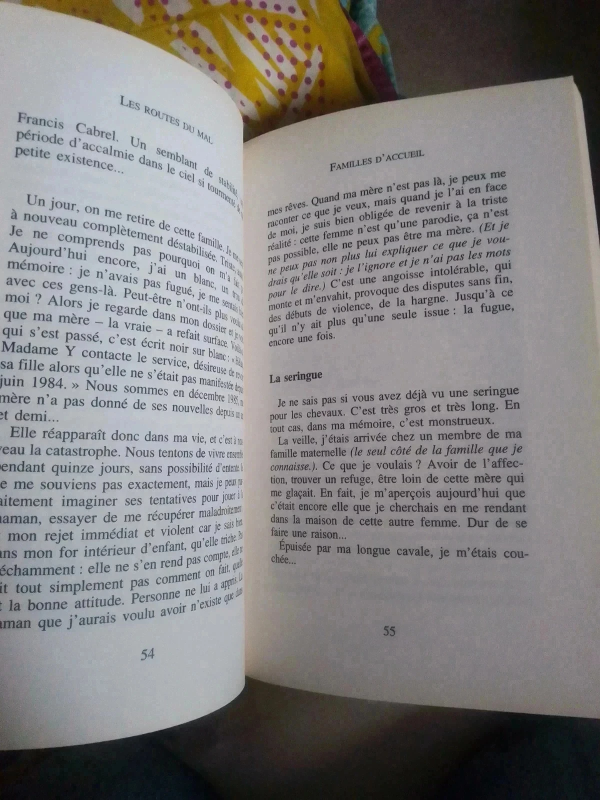 Fanny mijn zwarte nachten in de roze stad – photo 4